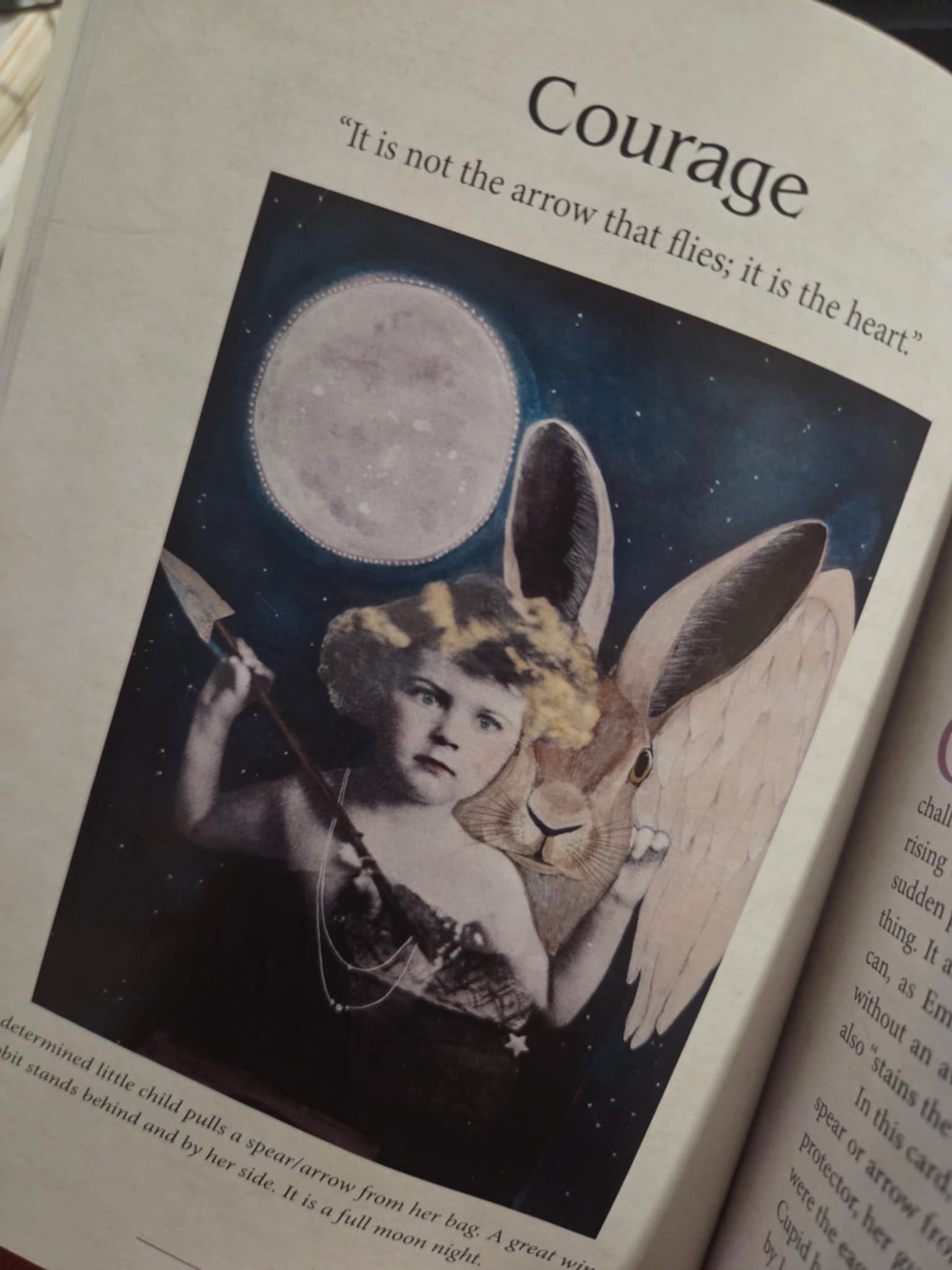 courage book