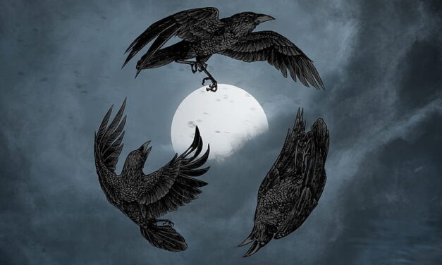 My Awakening Story by Surge Corvinae