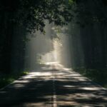 Awakening & Becoming: My Journey to Self Acceptance by Caillete Ashthorn