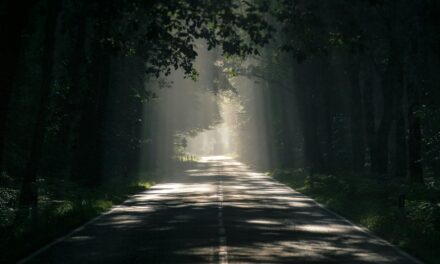 Awakening & Becoming: My Journey to Self Acceptance by Caillete Ashthorn